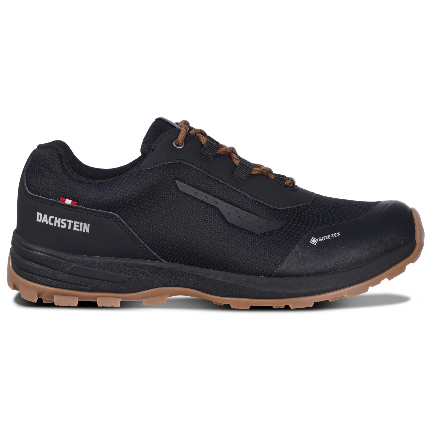 Dachstein Delta Rise 3.0 GTX - Multisport Shoes 1 Dachstein Delta Rise 3.0 GTX - Multisport Shoes